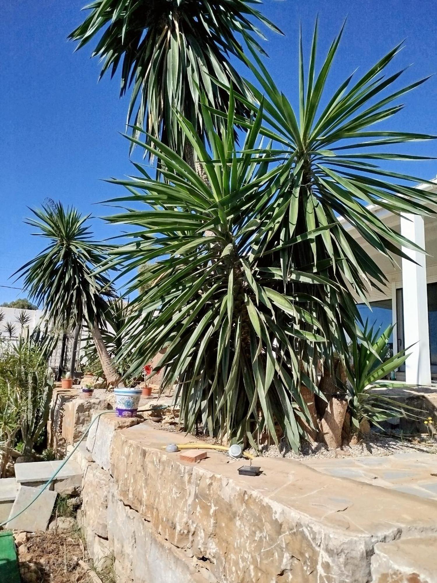 San Roque Countryside Annex Apartment Exterior foto
